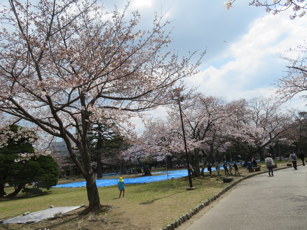 f:id:eiji-chan:20190405203848j:plain f:id:eiji-chan:20190405203848j:plain