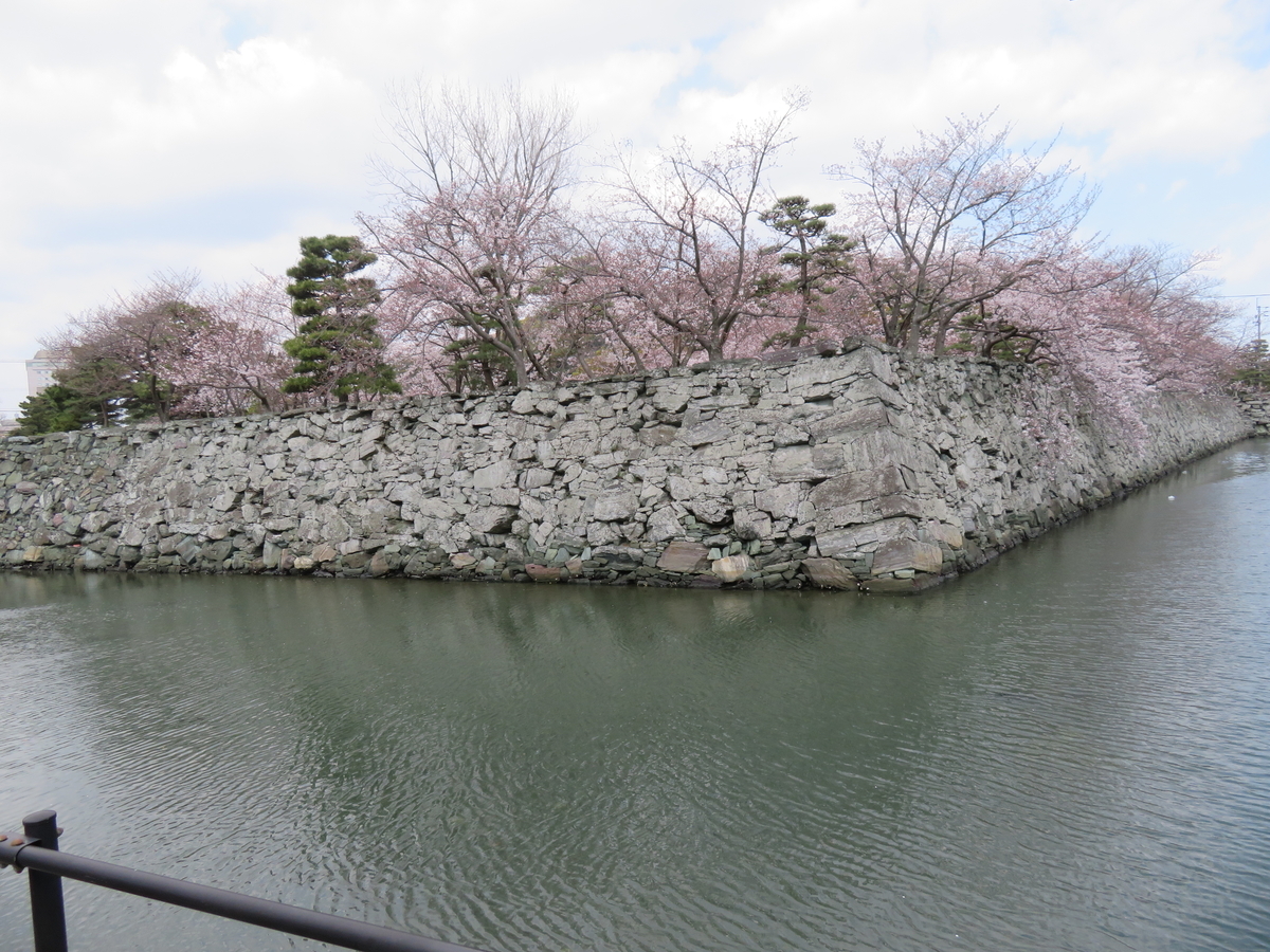 f:id:eiji-chan:20190405205207j:plain f:id:eiji-chan:20190405205207j:plain