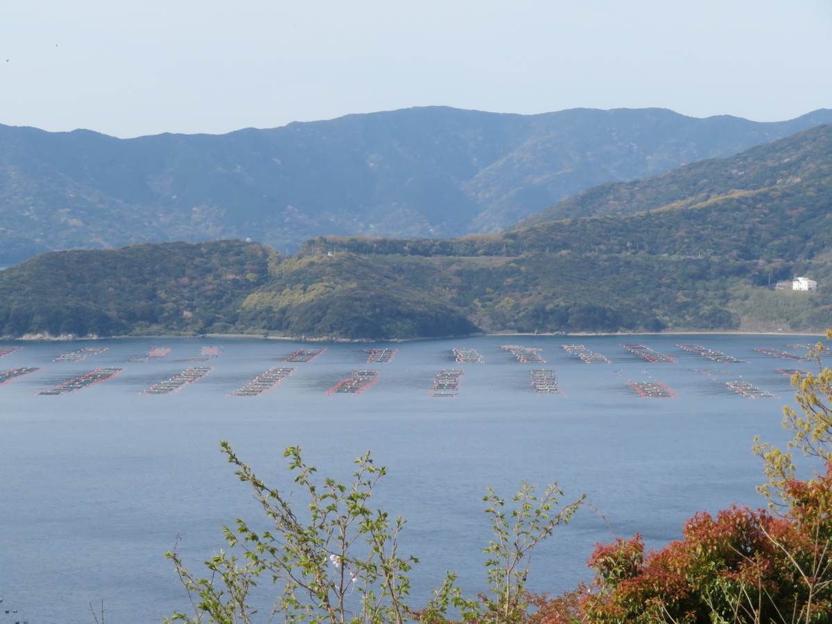 f:id:eiji-chan:20190410130540j:plain f:id:eiji-chan:20190410130540j:plain