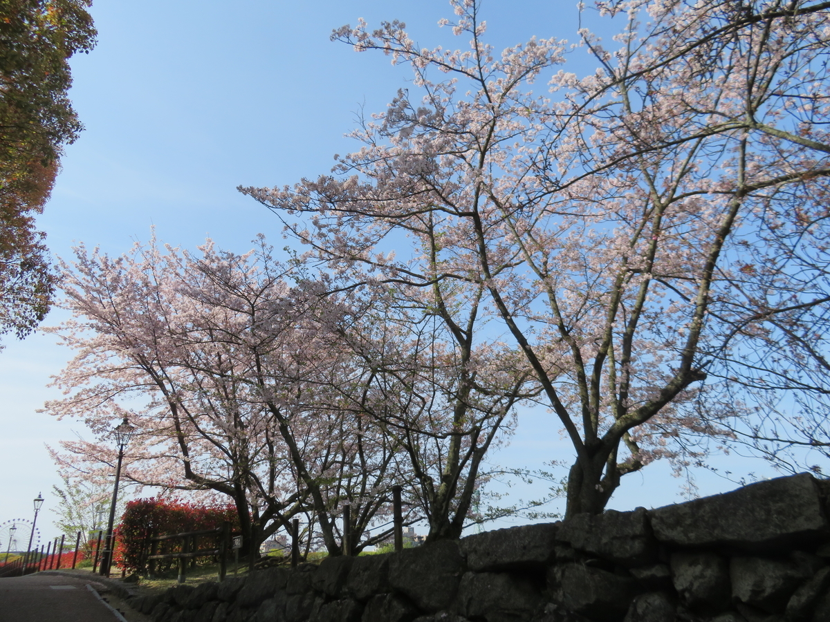 f:id:eiji-chan:20190414090014j:plain f:id:eiji-chan:20190414090014j:plain