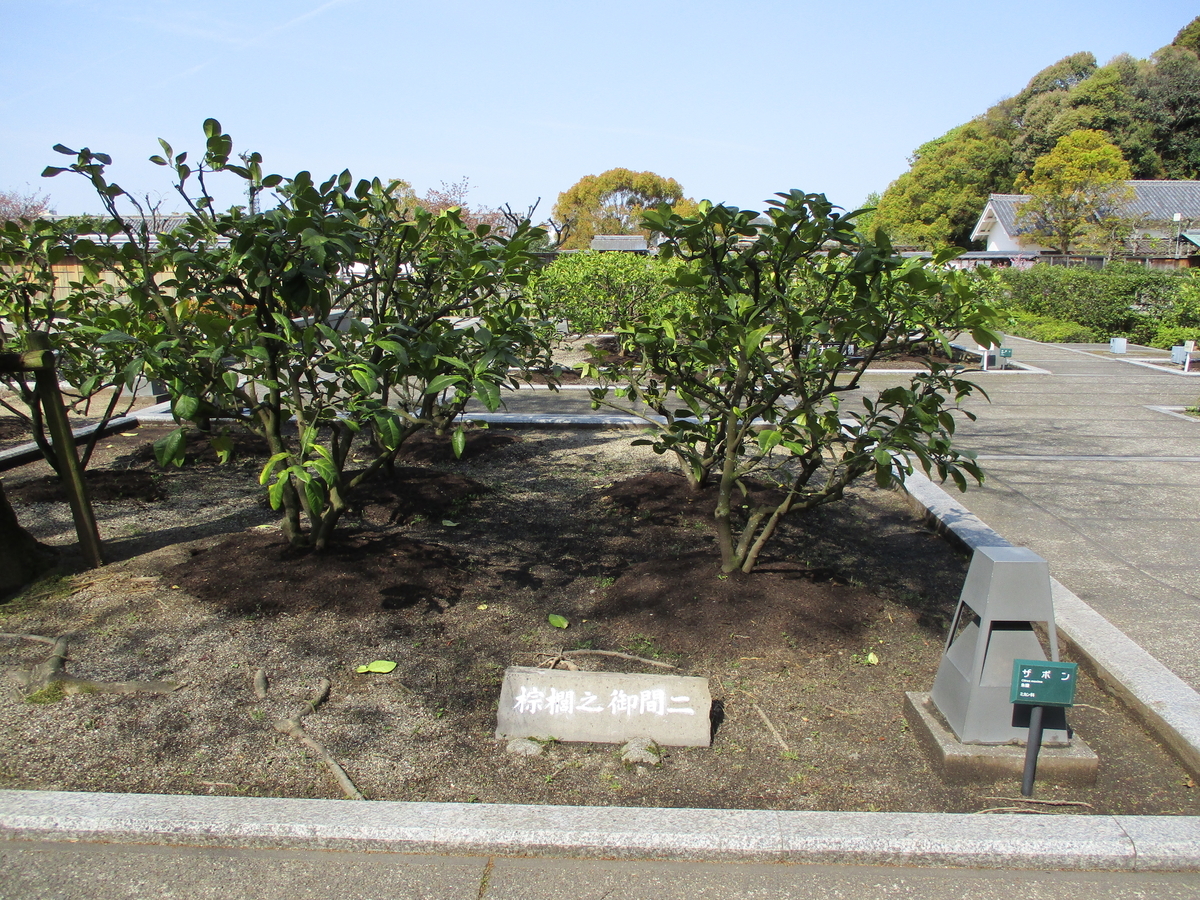 f:id:eiji-chan:20190414103347j:plain f:id:eiji-chan:20190414103347j:plain