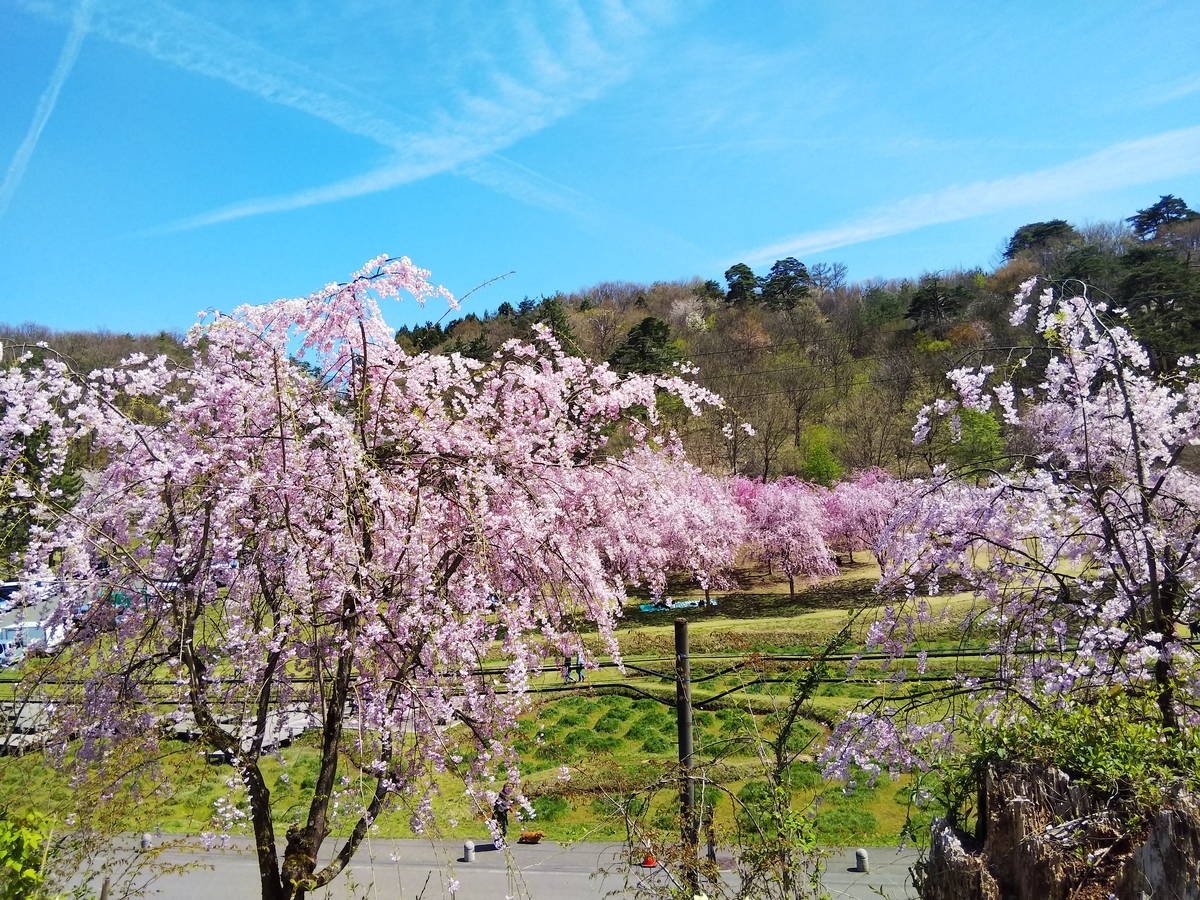 f:id:eiji-chan:20190421143443j:plain