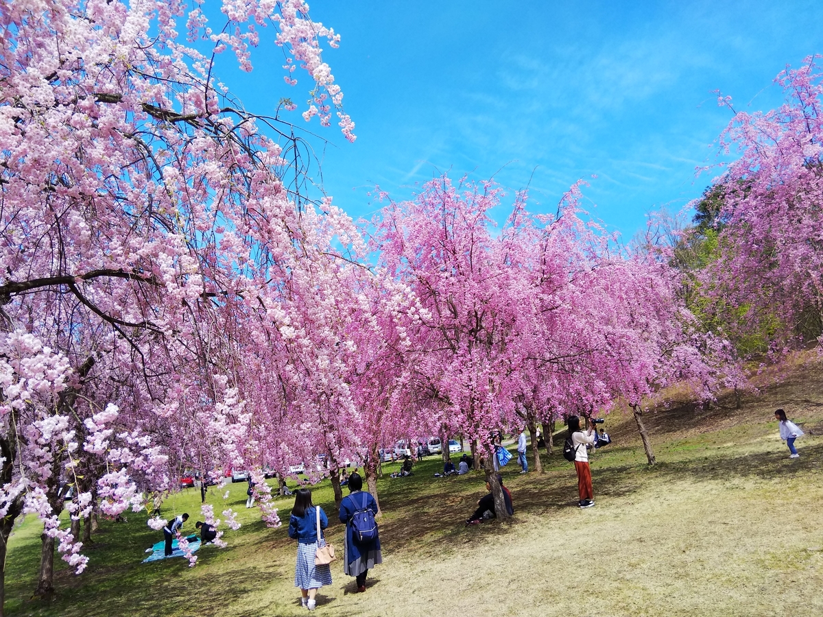 f:id:eiji-chan:20190421143706j:plain
