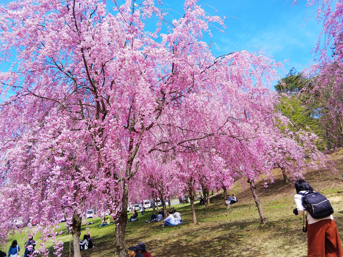 f:id:eiji-chan:20190421144015j:plain