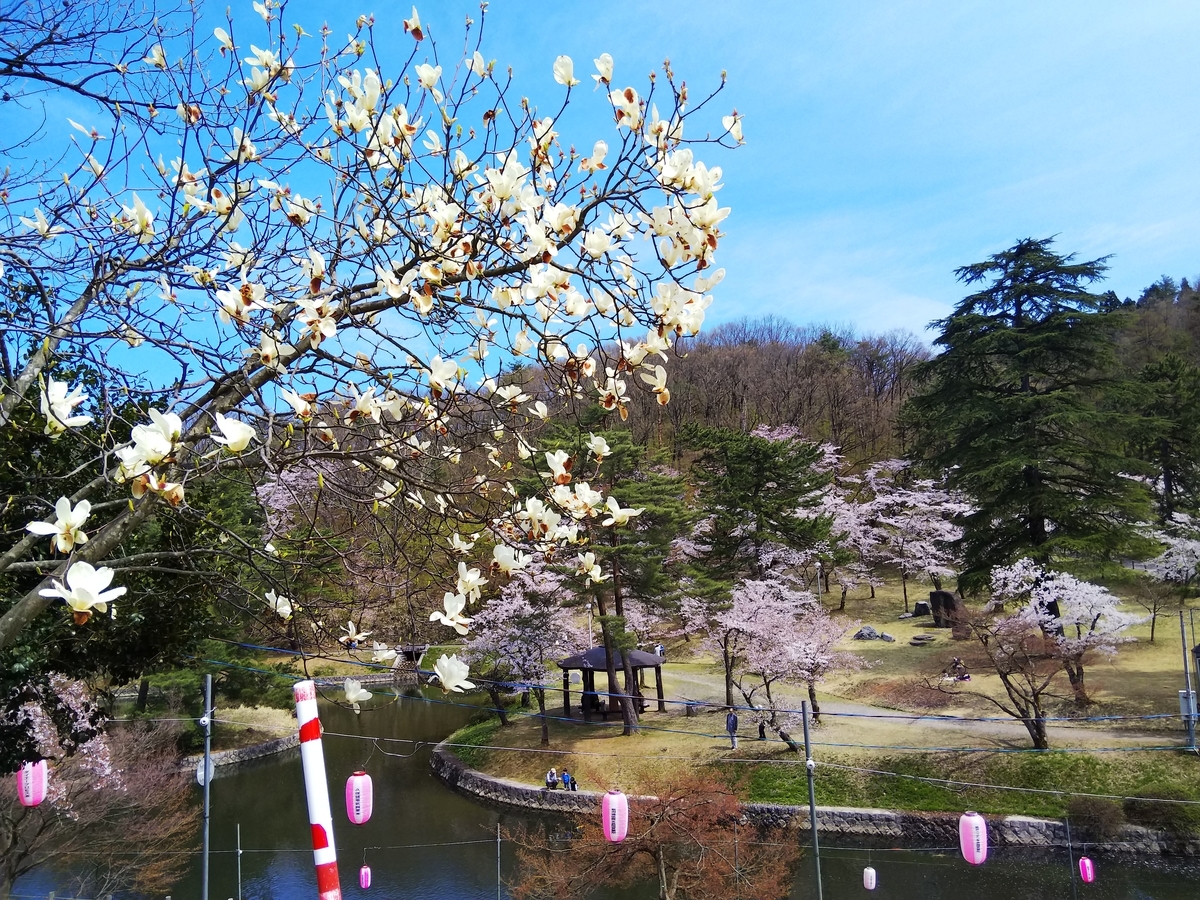 f:id:eiji-chan:20190421144533j:plain