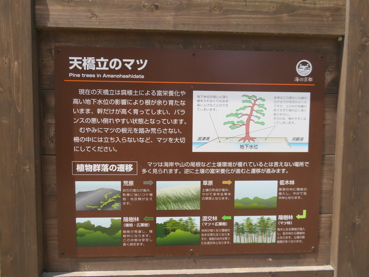 f:id:eiji-chan:20190517090647j:plain f:id:eiji-chan:20190517090647j:plain