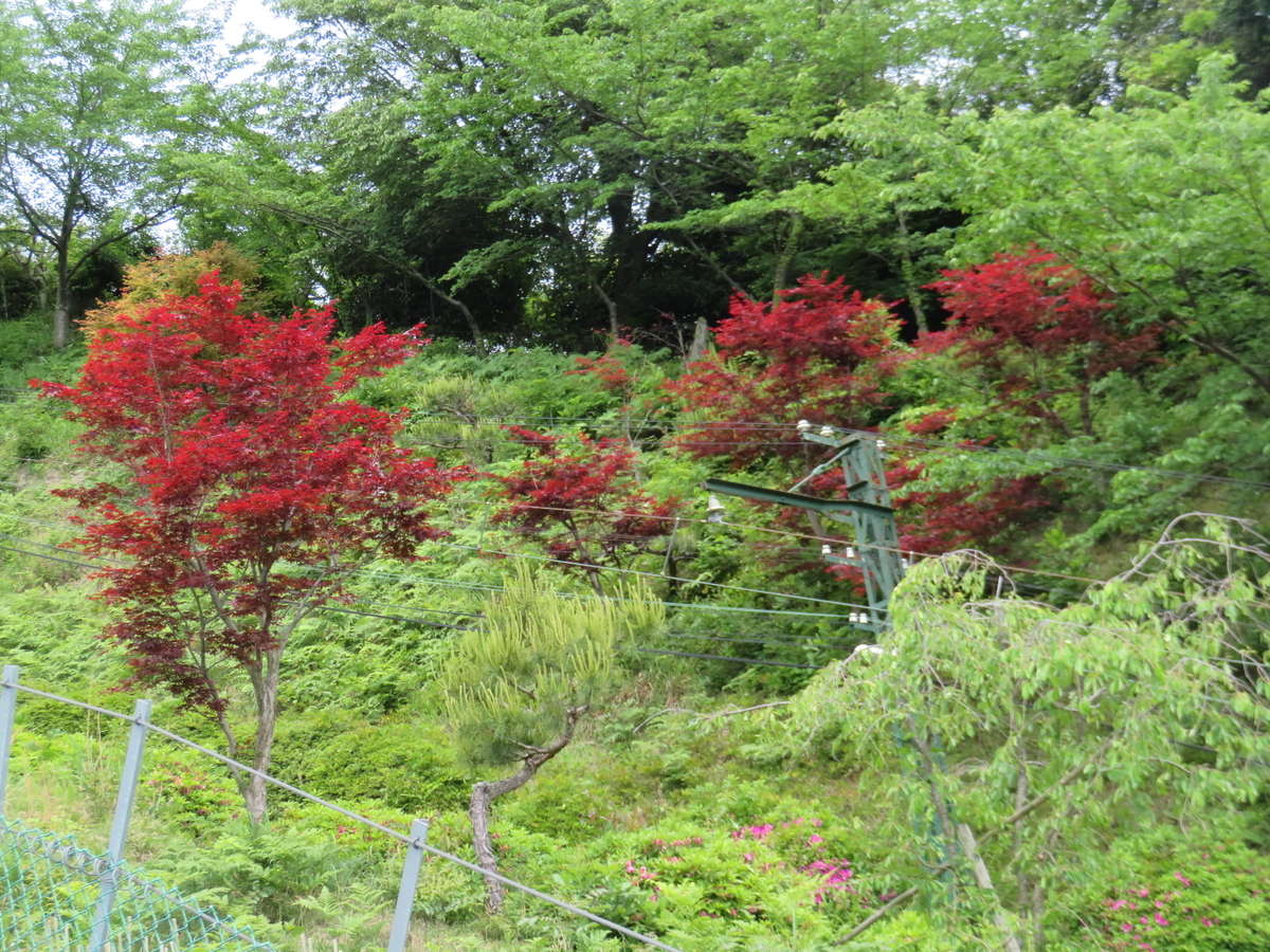 f:id:eiji-chan:20190517093012j:plain f:id:eiji-chan:20190517093012j:plain