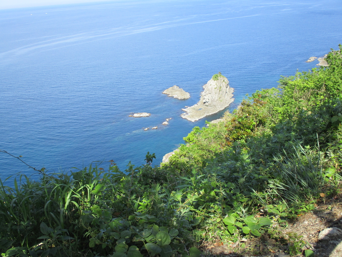 f:id:eiji-chan:20190518083140j:plain