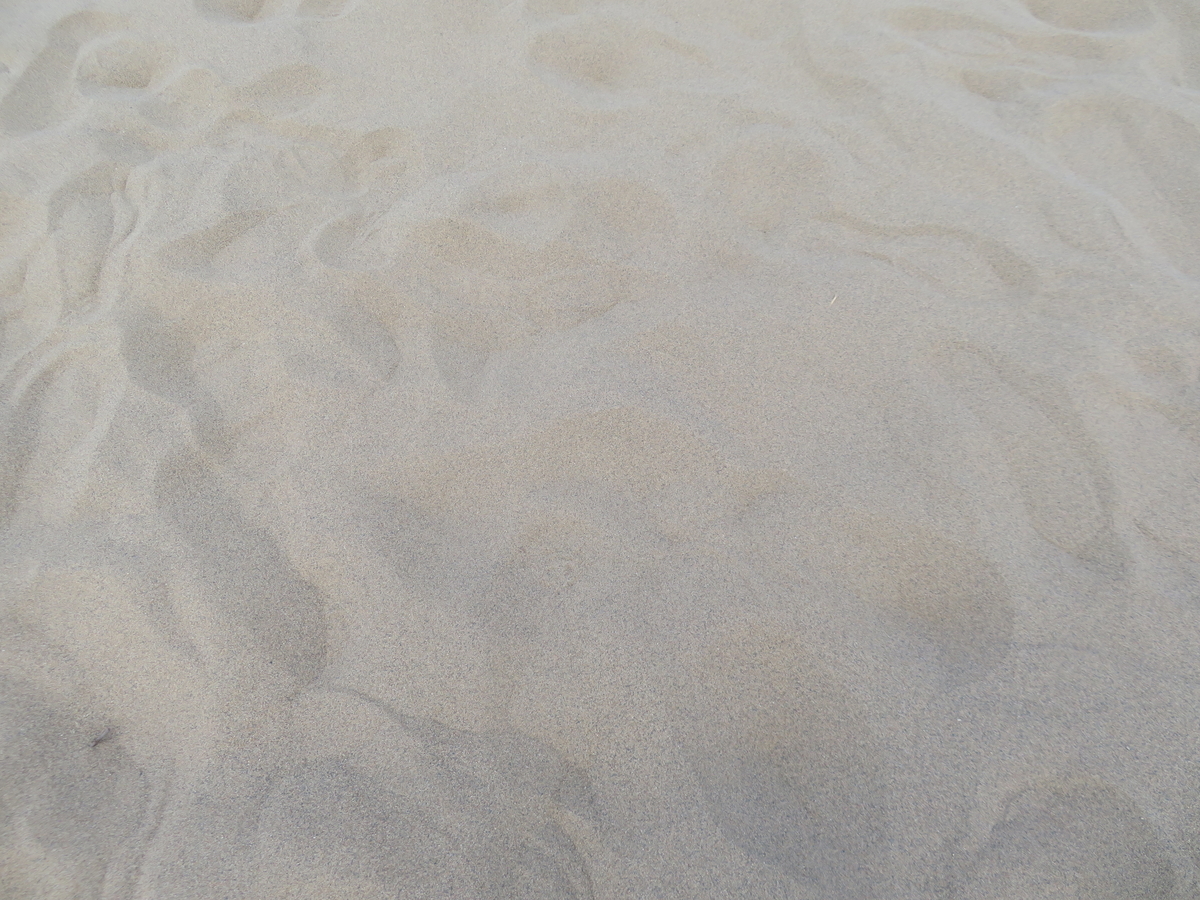 f:id:eiji-chan:20190520215325j:plain f:id:eiji-chan:20190520215325j:plain