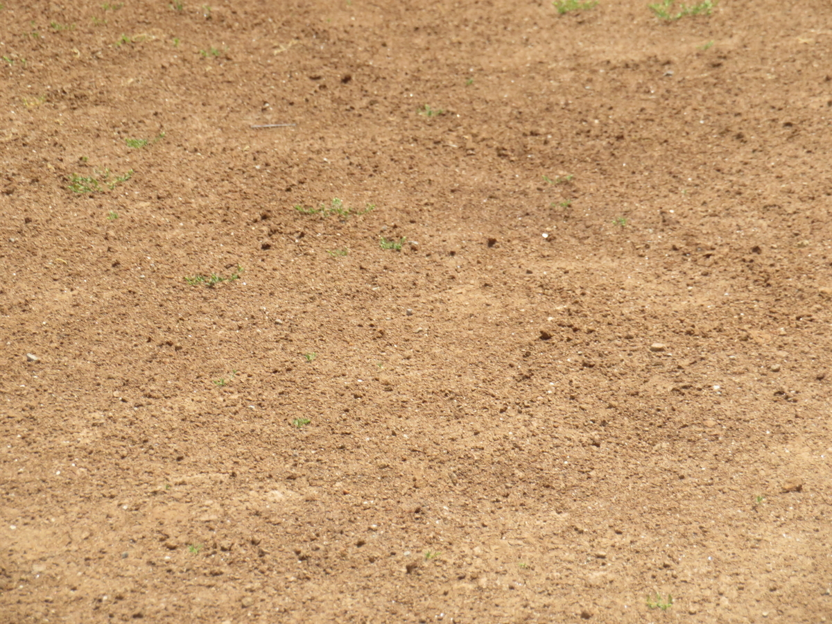 f:id:eiji-chan:20190520222735j:plain f:id:eiji-chan:20190520222735j:plain
