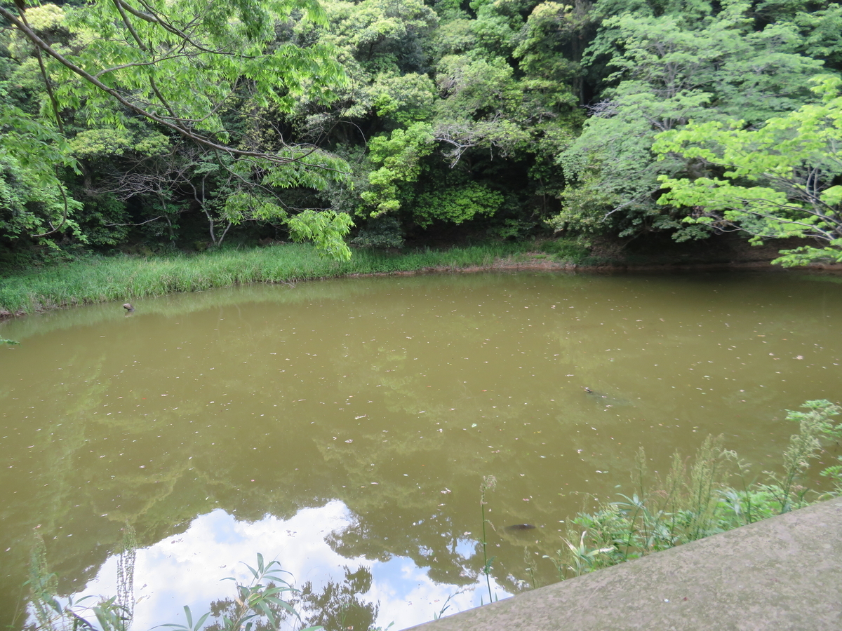 f:id:eiji-chan:20190521080931j:plain f:id:eiji-chan:20190521080931j:plain