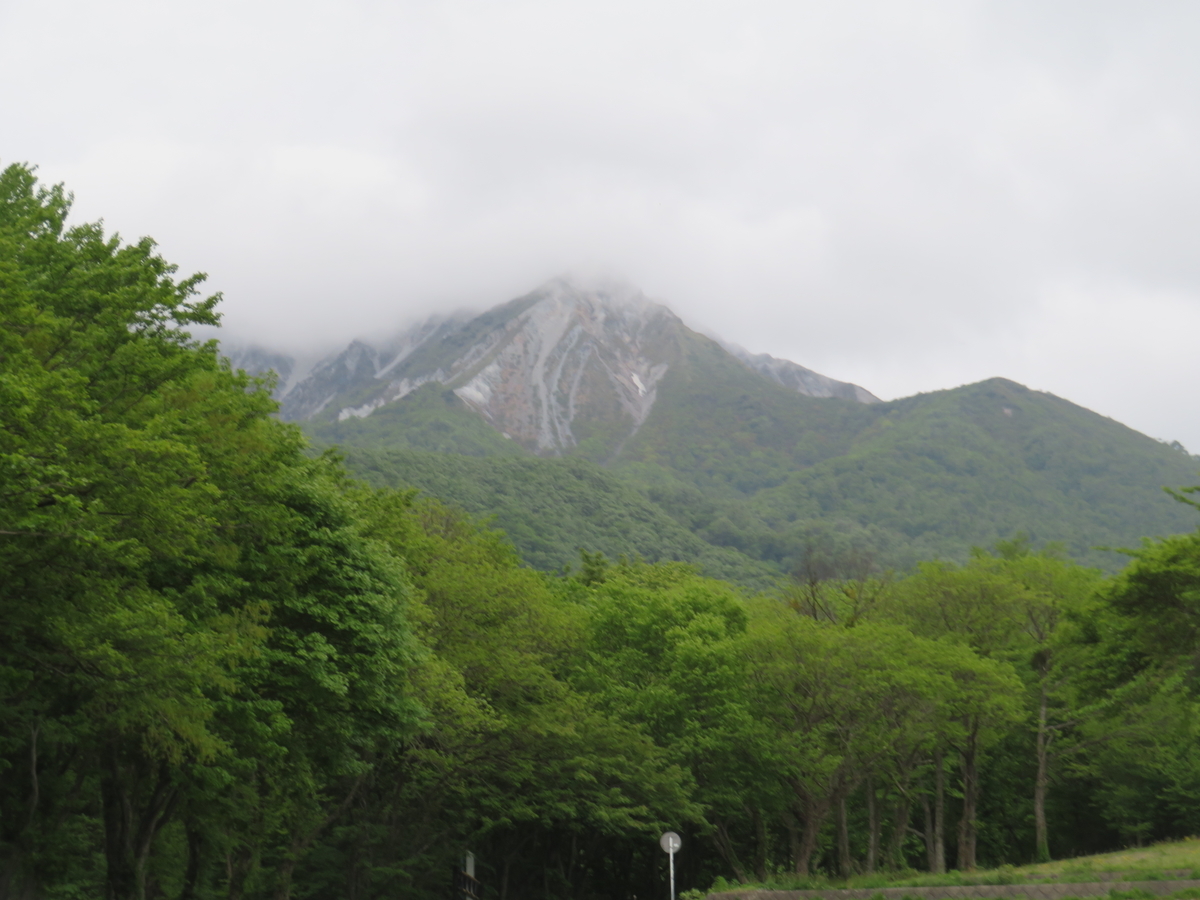 f:id:eiji-chan:20190521221318j:plain