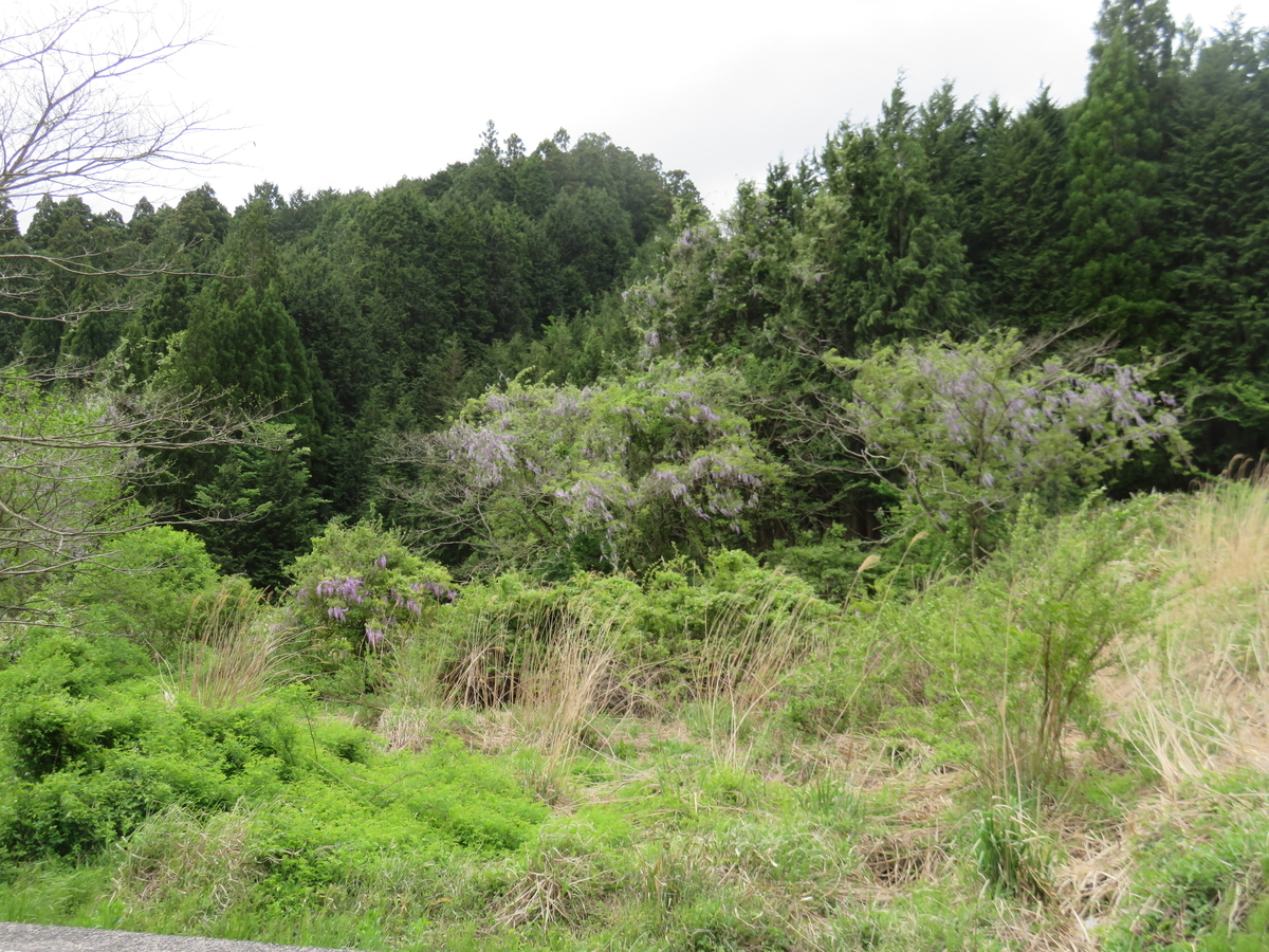 f:id:eiji-chan:20190521223533j:plain