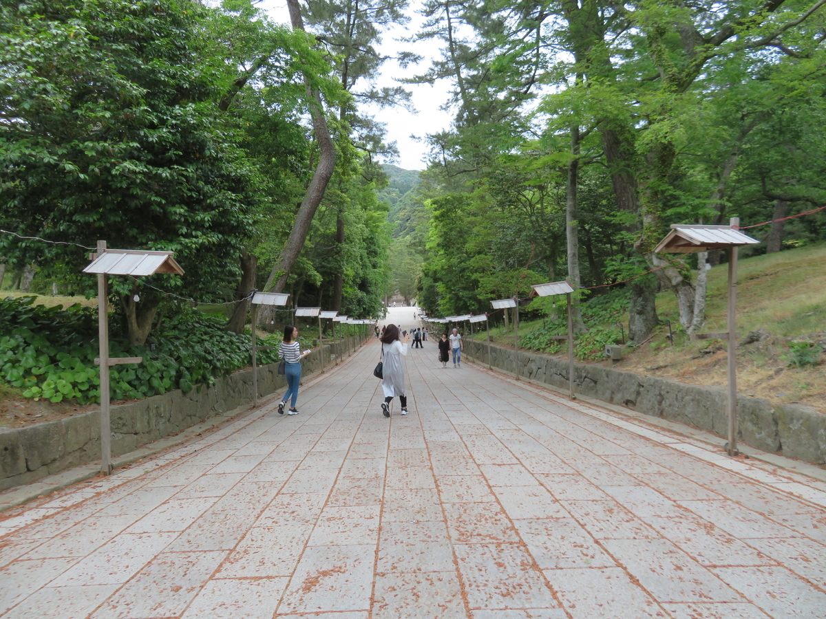 f:id:eiji-chan:20190524072824j:plain