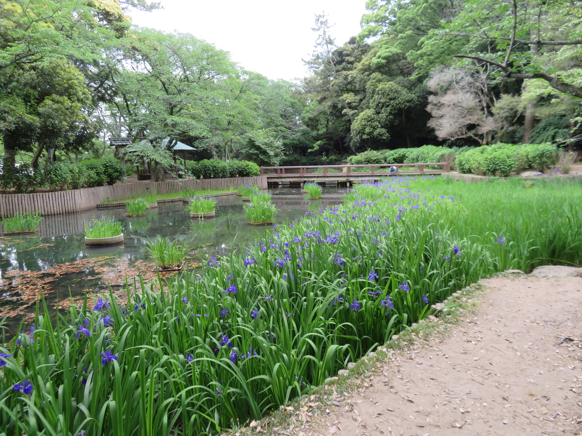 f:id:eiji-chan:20190524072911j:plain
