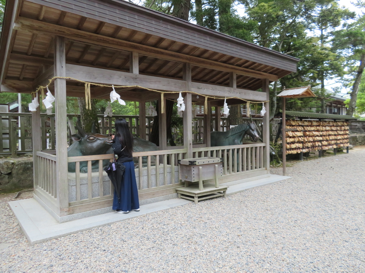 f:id:eiji-chan:20190524073453j:plain