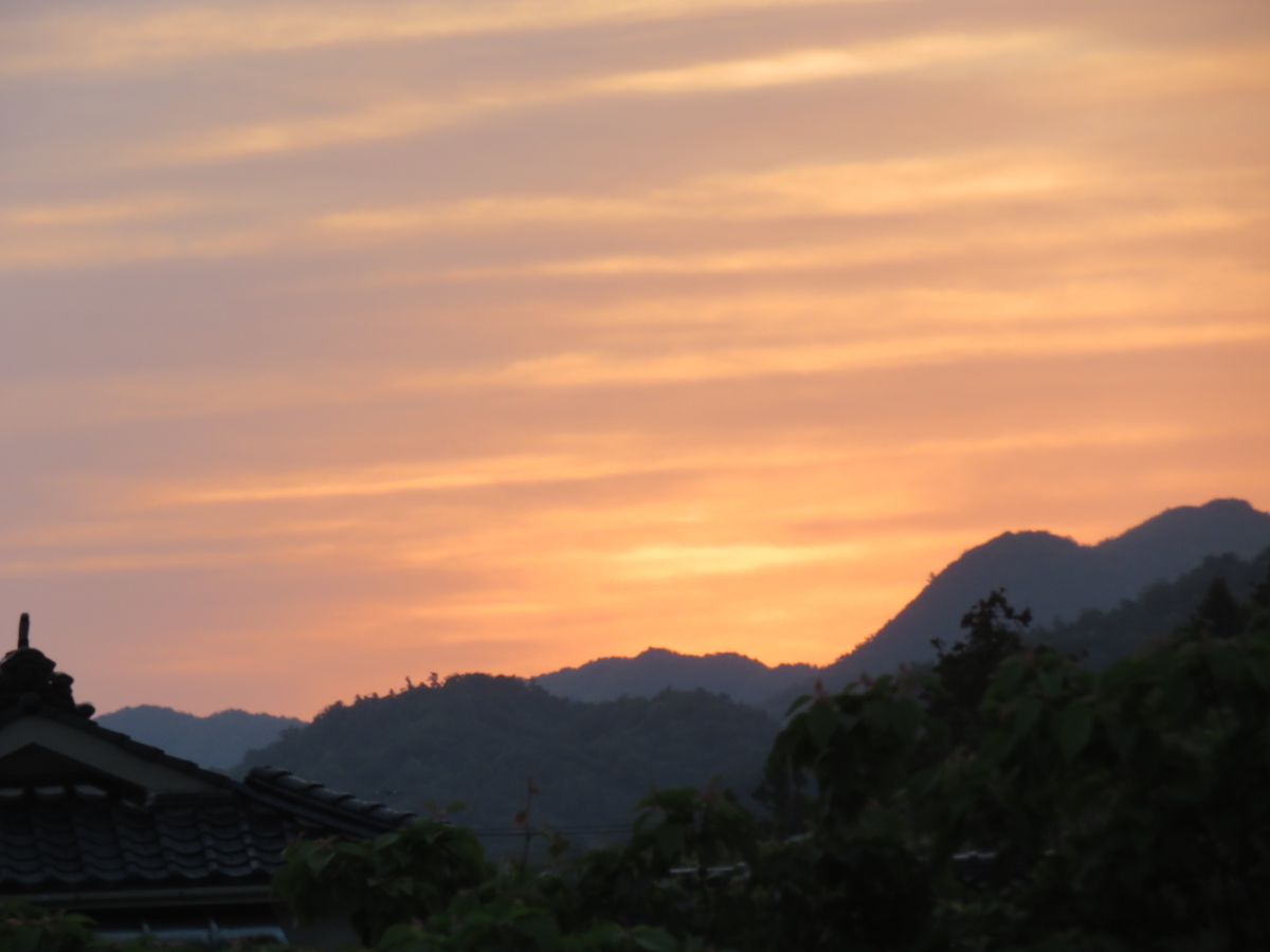 f:id:eiji-chan:20190525220449j:plain