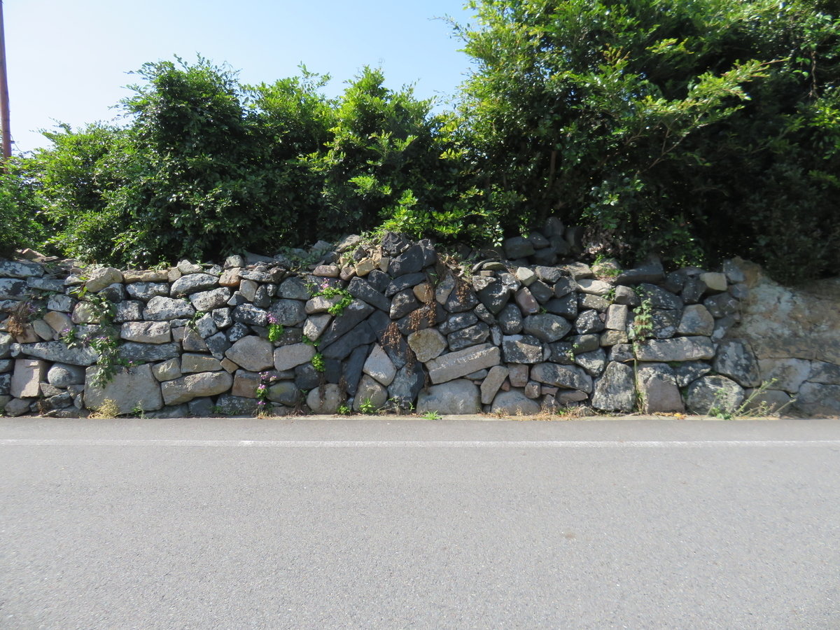 f:id:eiji-chan:20190526205114j:plain
