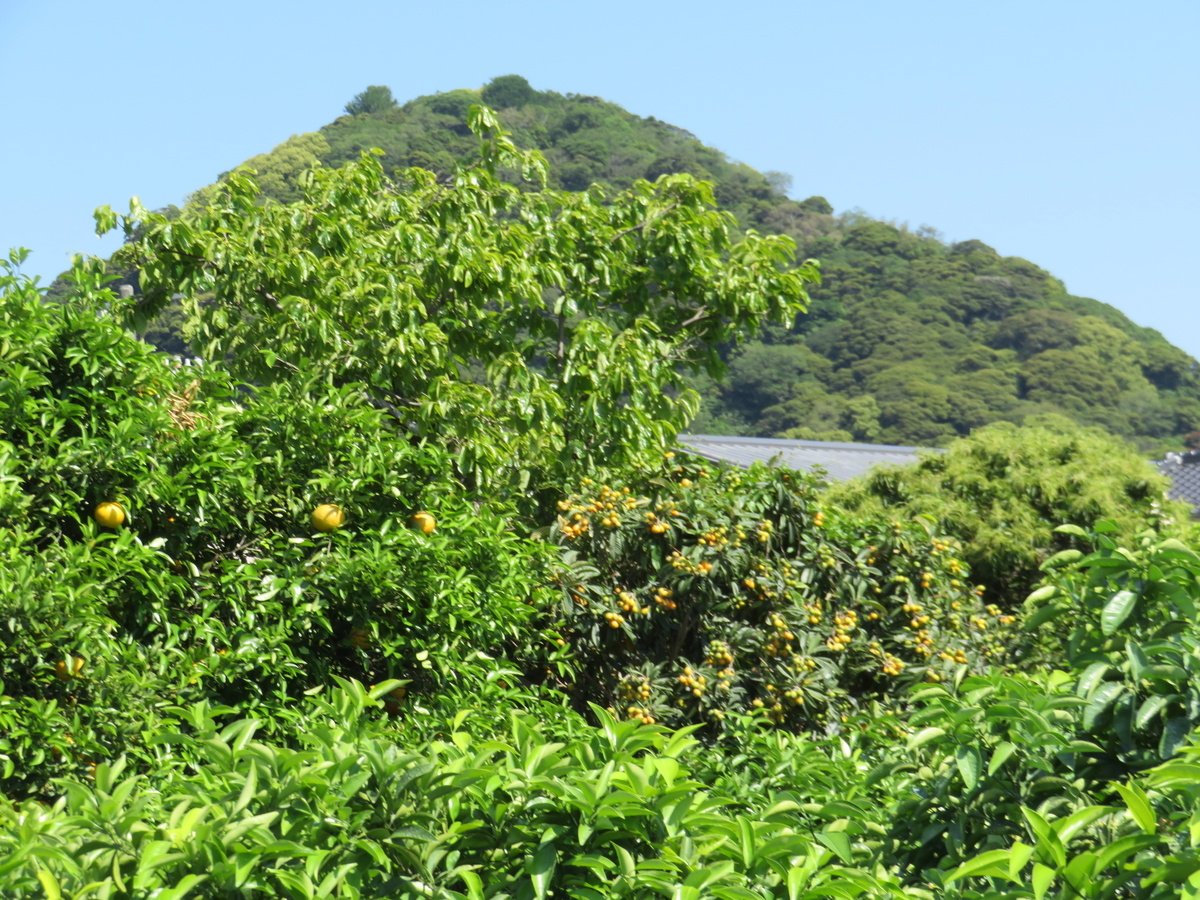 f:id:eiji-chan:20190526210642j:plain