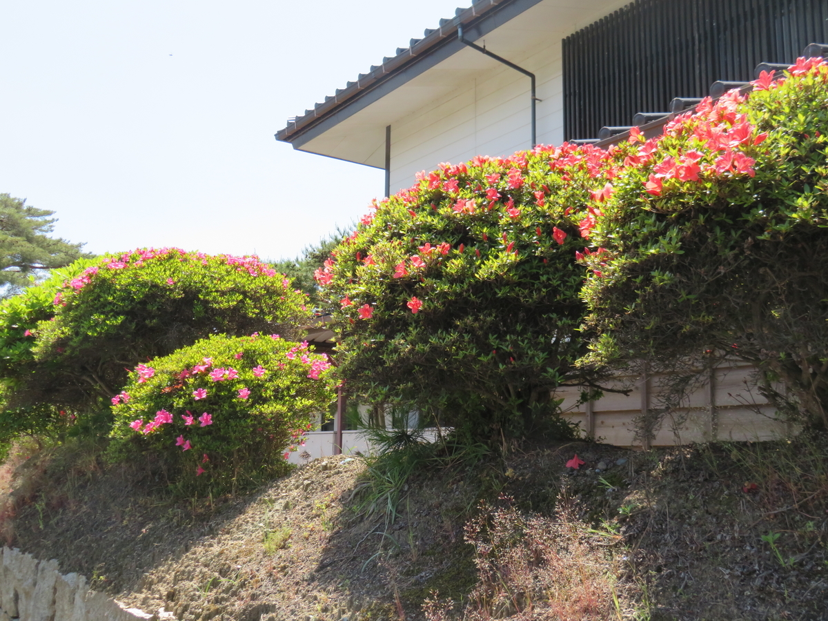 f:id:eiji-chan:20190526211217j:plain