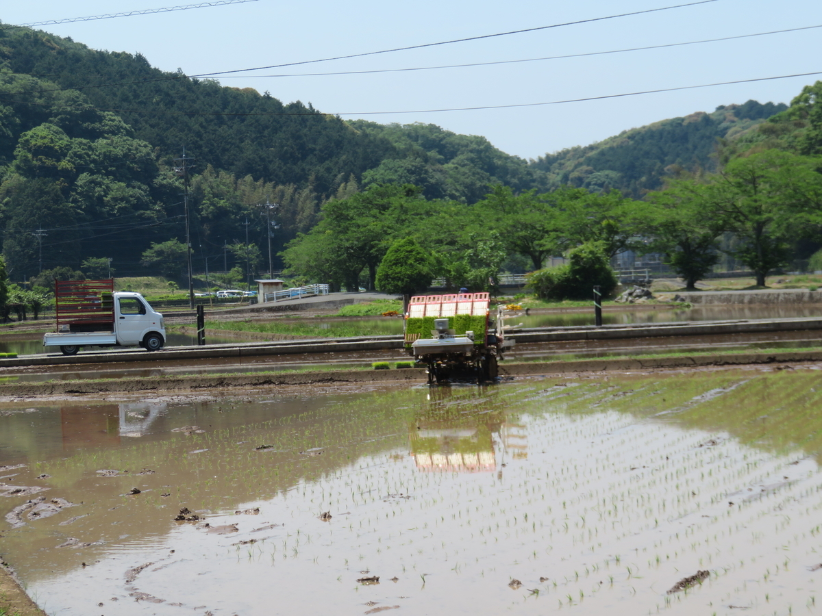 f:id:eiji-chan:20190531083422j:plain