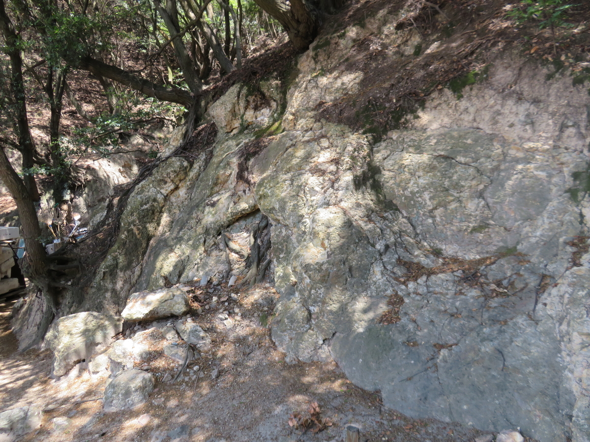 f:id:eiji-chan:20190604074442j:plain