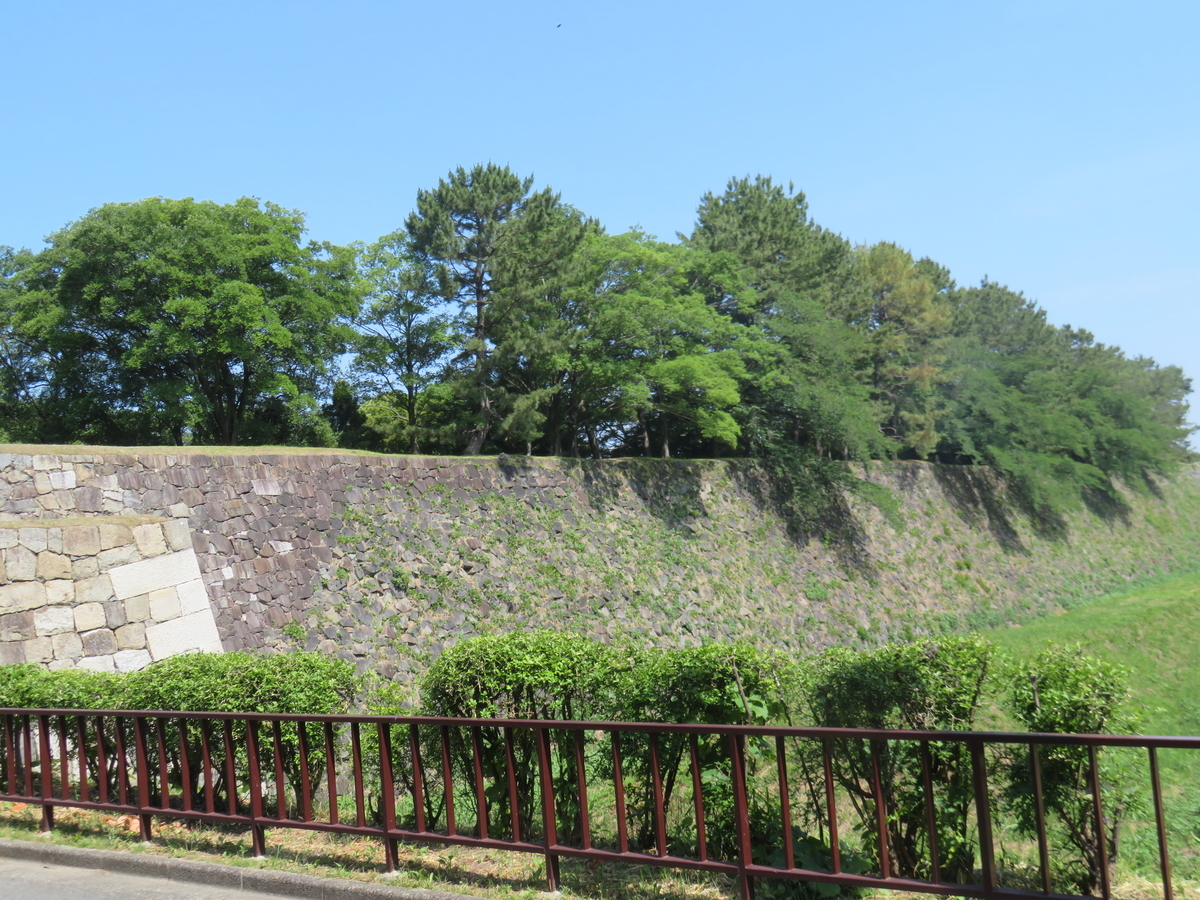 f:id:eiji-chan:20190610201413j:plain f:id:eiji-chan:20190610201413j:plain