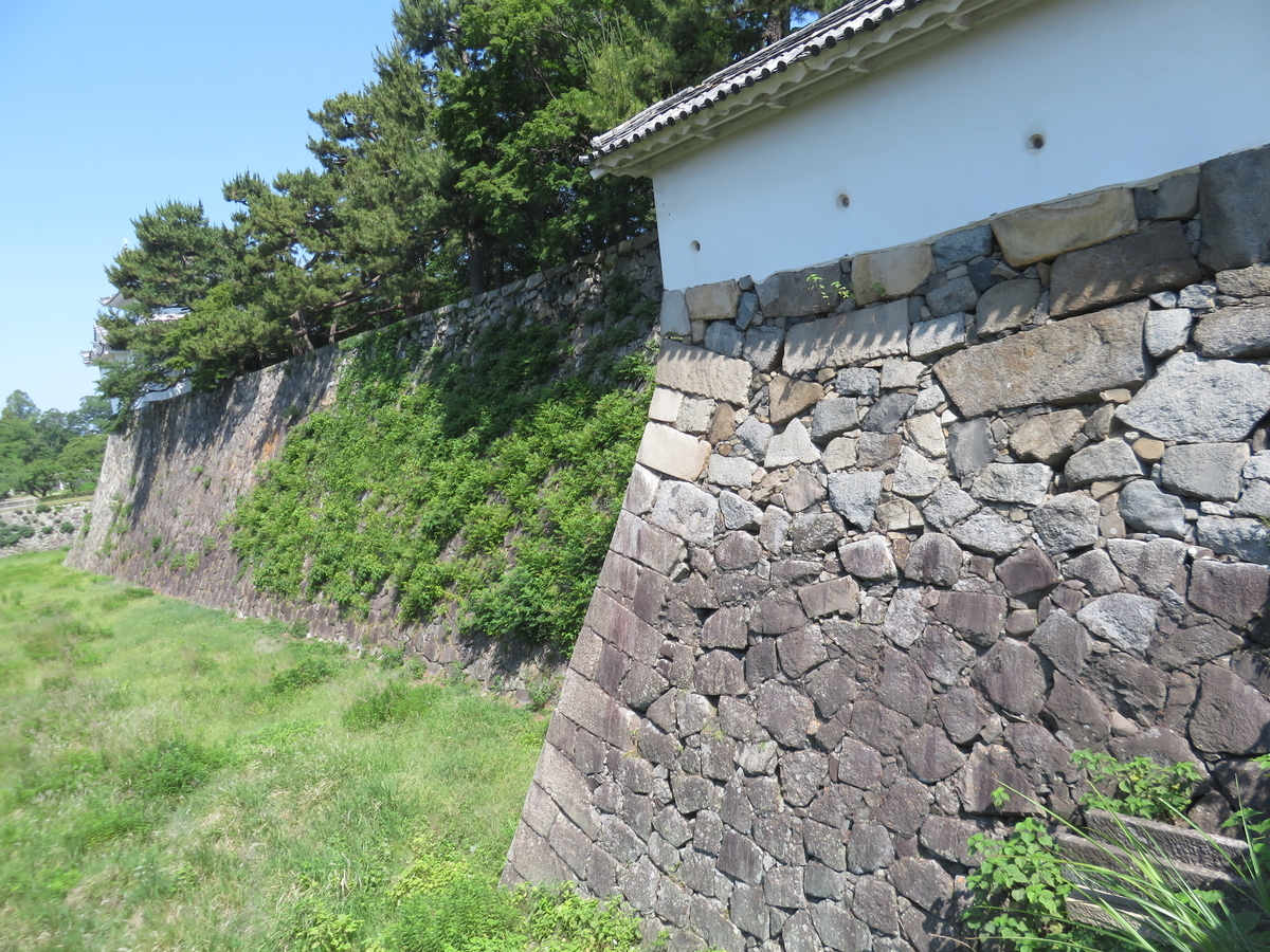 f:id:eiji-chan:20190610201653j:plain f:id:eiji-chan:20190610201653j:plain