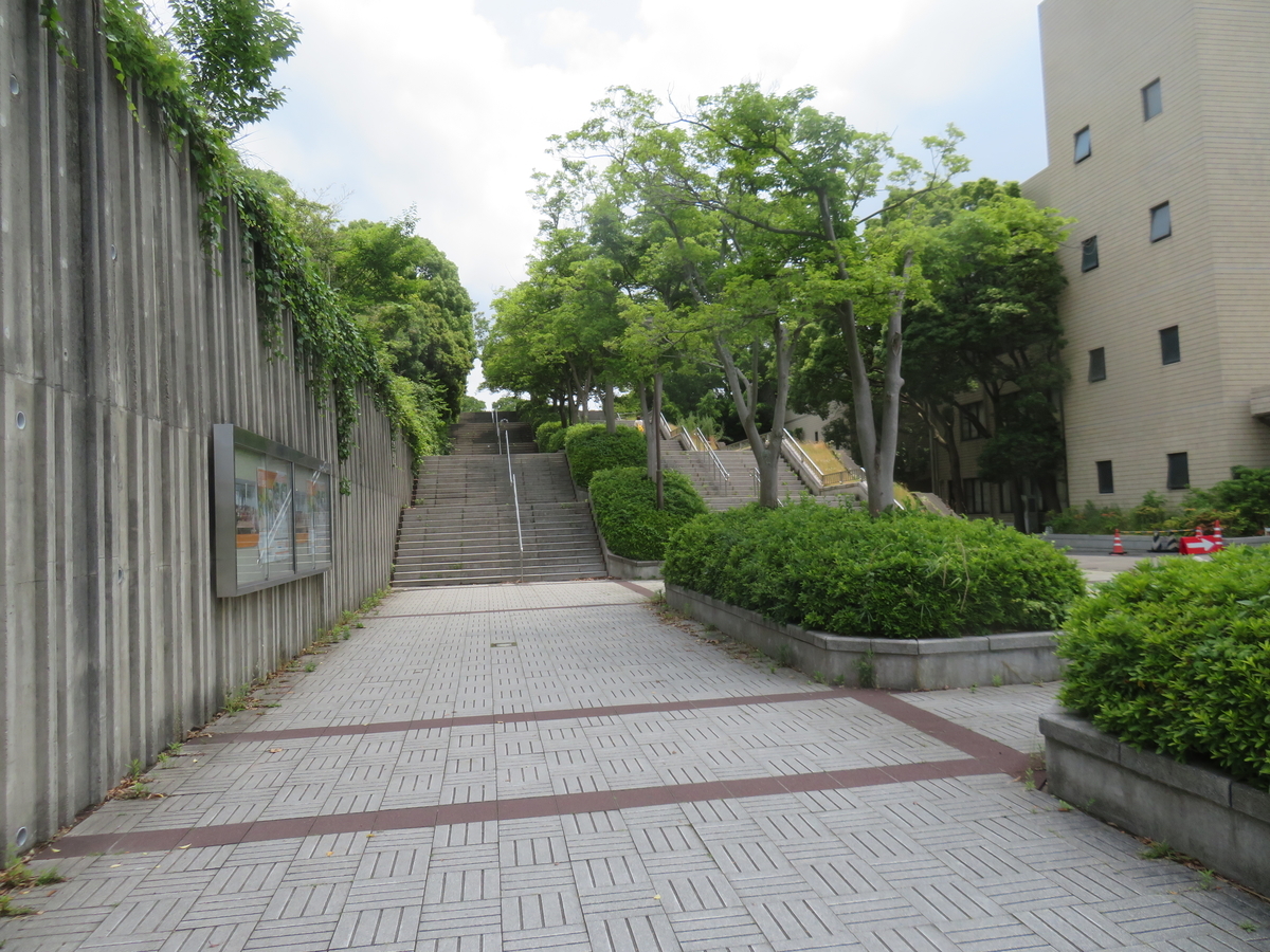 f:id:eiji-chan:20190611101742j:plain f:id:eiji-chan:20190611101742j:plain