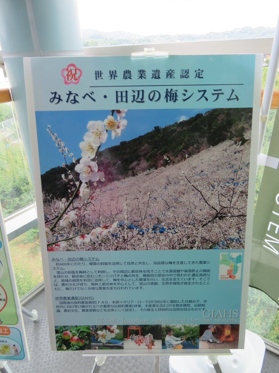 f:id:eiji-chan:20190611105033j:plain f:id:eiji-chan:20190611105033j:plain