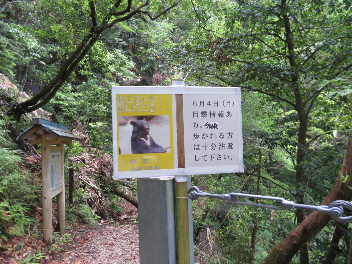f:id:eiji-chan:20190612205542j:plain
