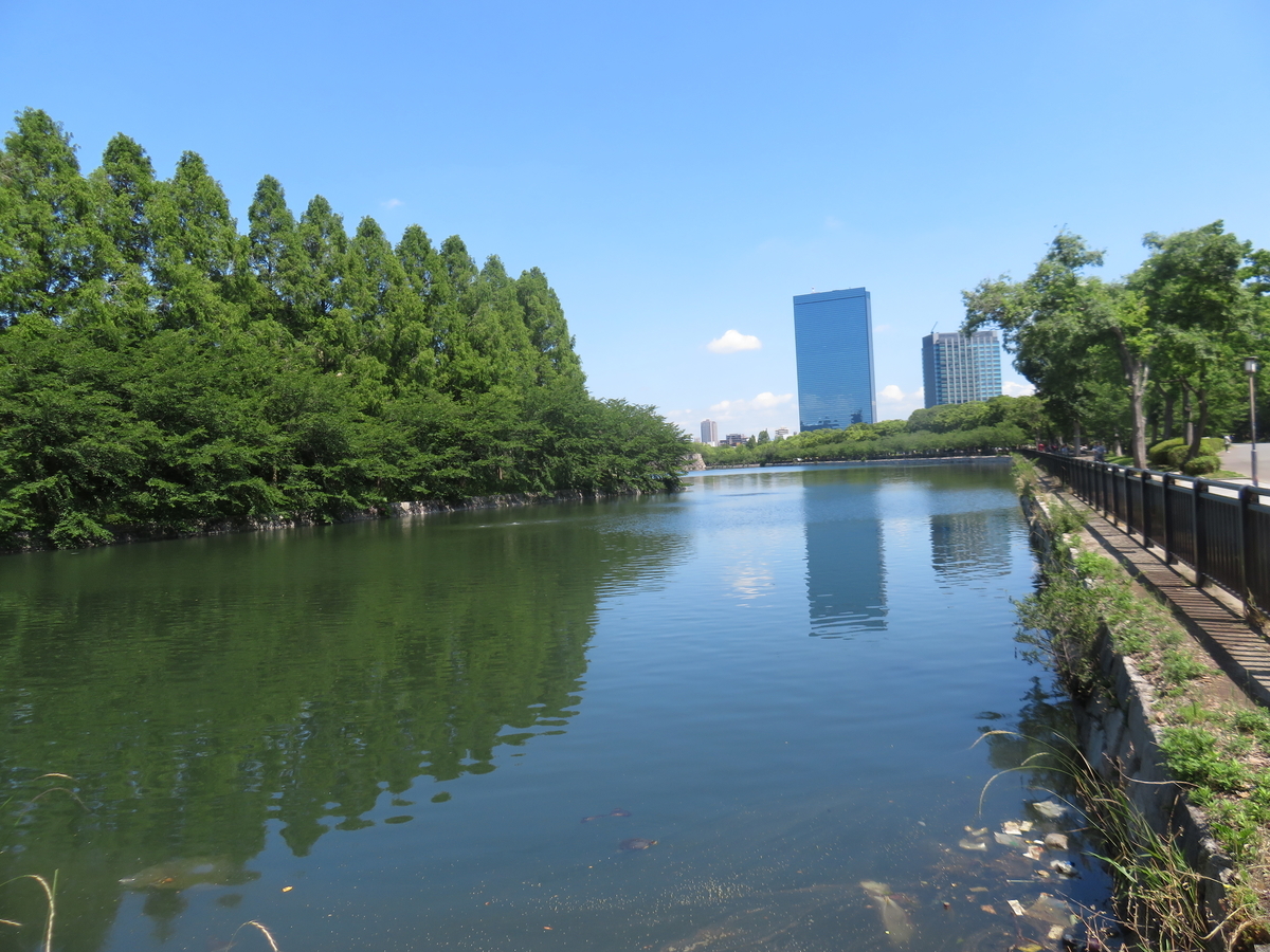 f:id:eiji-chan:20190616185030j:plain