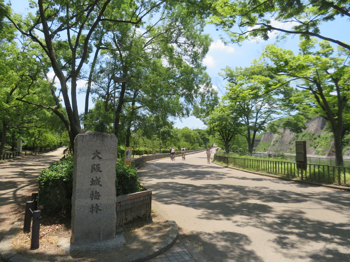 f:id:eiji-chan:20190616211742j:plain
