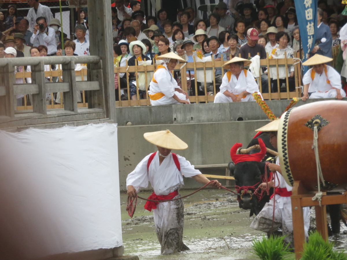 f:id:eiji-chan:20190616220552j:plain