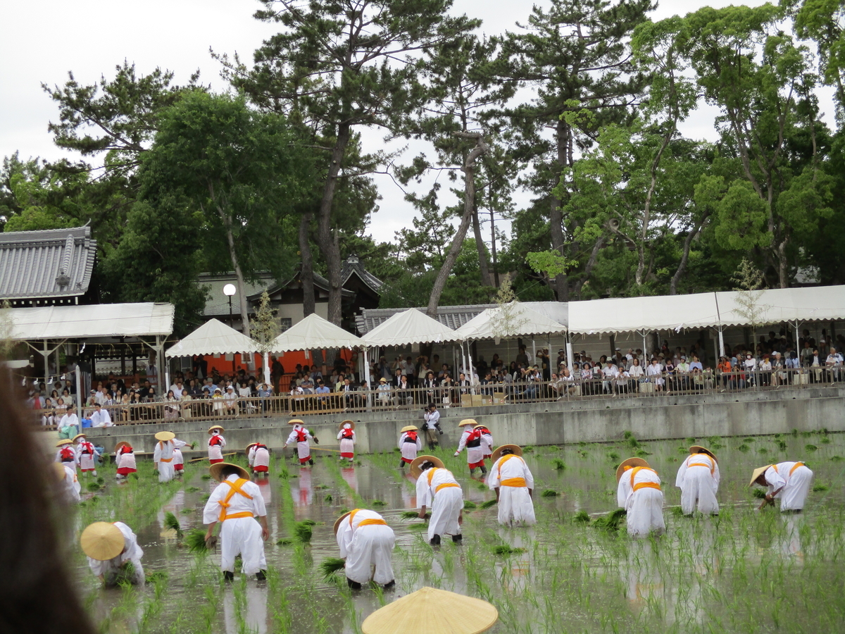 f:id:eiji-chan:20190617000114j:plain