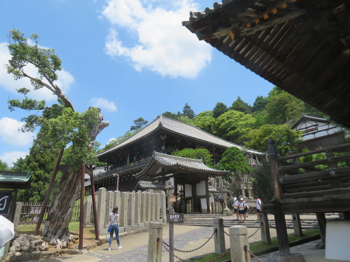 f:id:eiji-chan:20190620141511j:plain