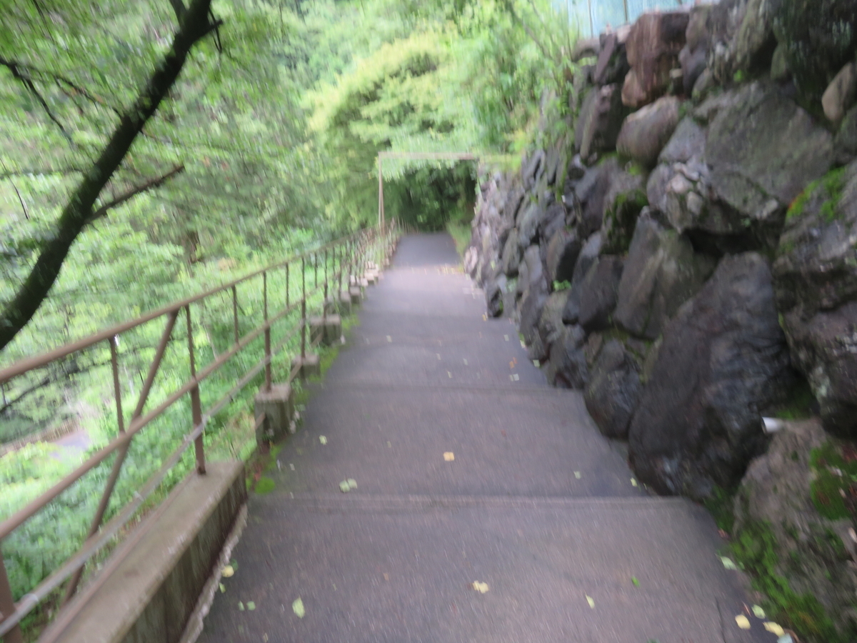 f:id:eiji-chan:20190621183856j:plain