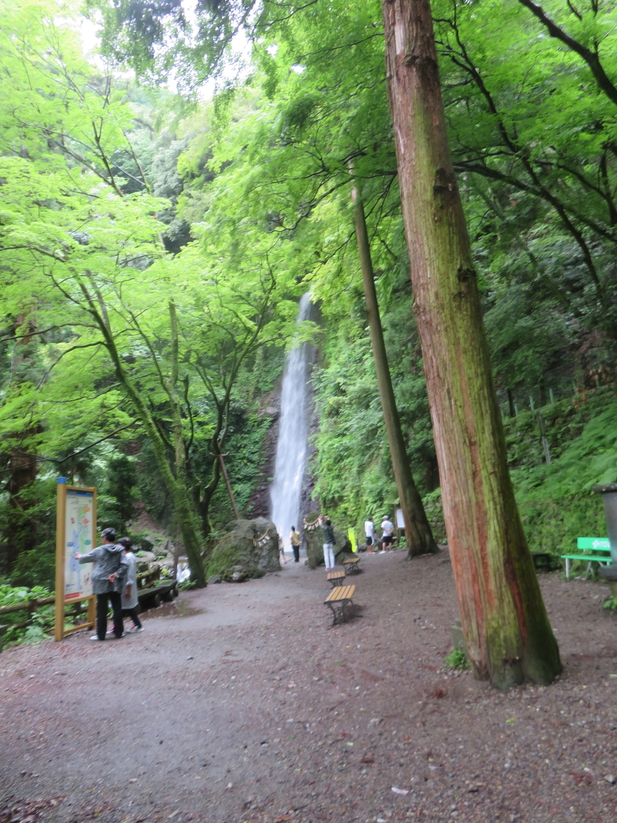 f:id:eiji-chan:20190621210140j:plain