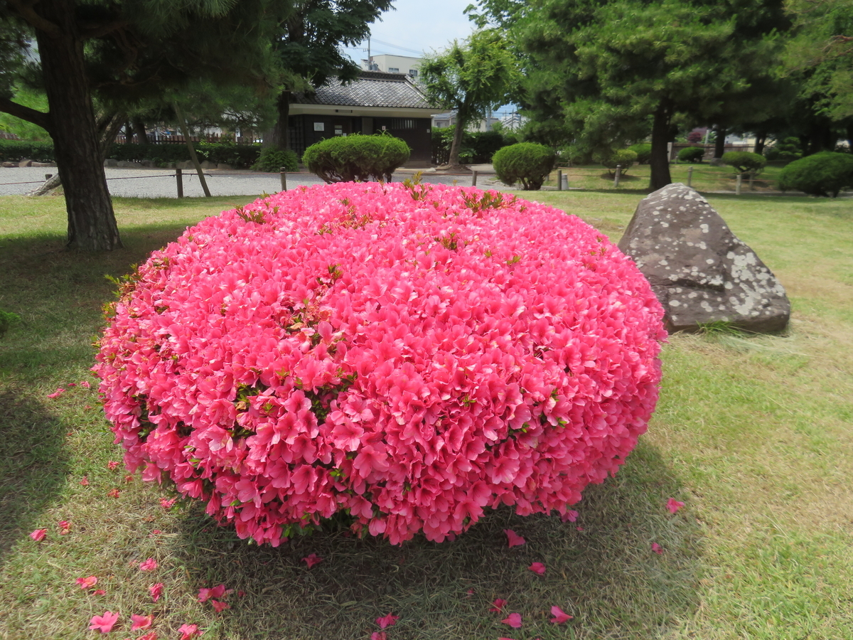 f:id:eiji-chan:20190625110717j:plain