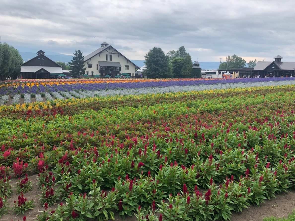 f:id:eiji-chan:20190807141745j:plain