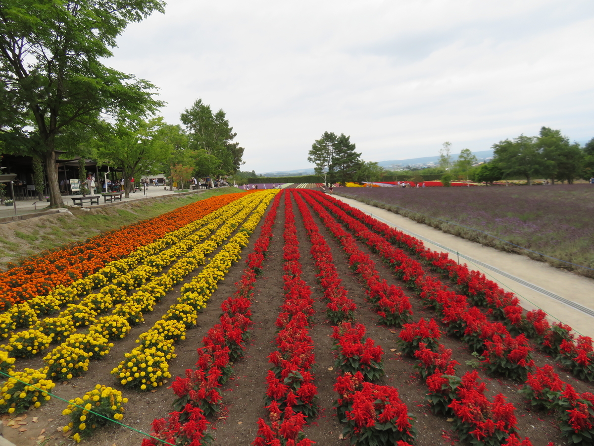 f:id:eiji-chan:20190807165800j:plain