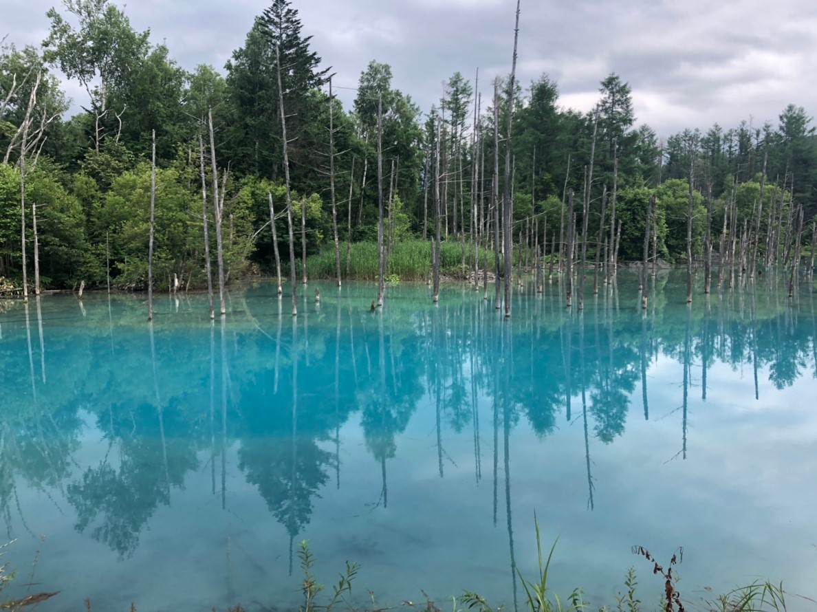f:id:eiji-chan:20190807171951j:plain