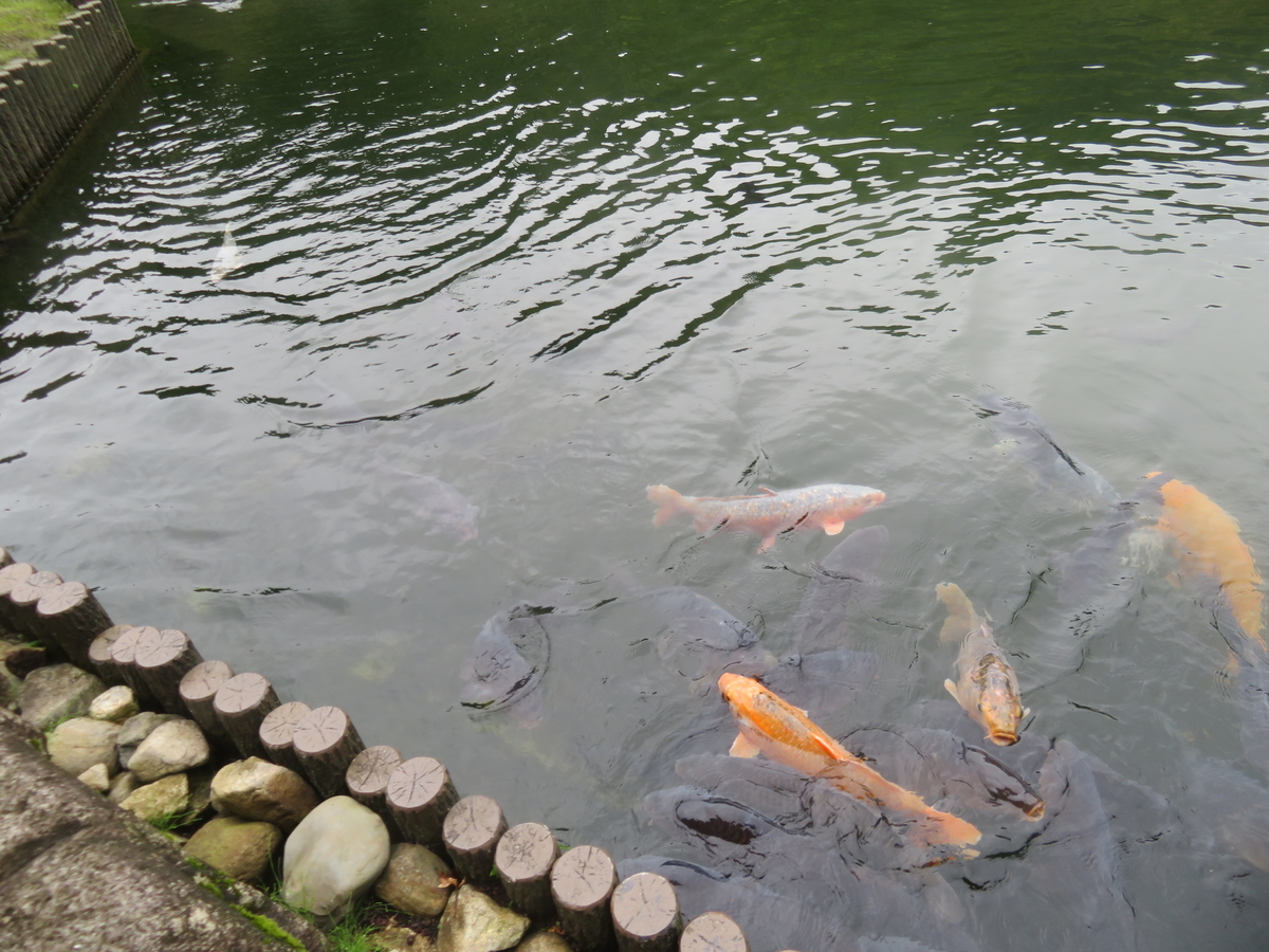f:id:eiji-chan:20190904210425j:plain