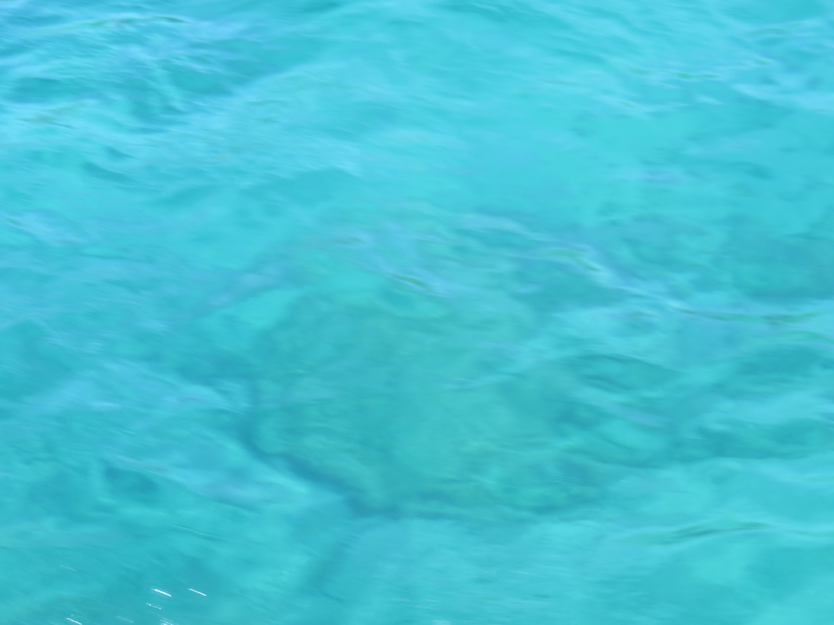 f:id:eiji-chan:20190915221945j:plain f:id:eiji-chan:20190915221945j:plain