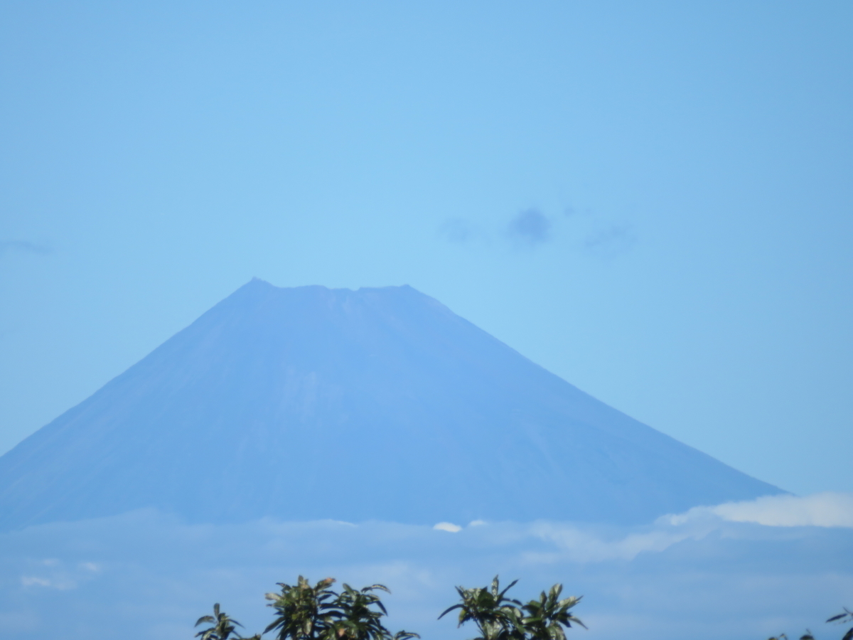 f:id:eiji-chan:20190916084818j:plain f:id:eiji-chan:20190916084818j:plain
