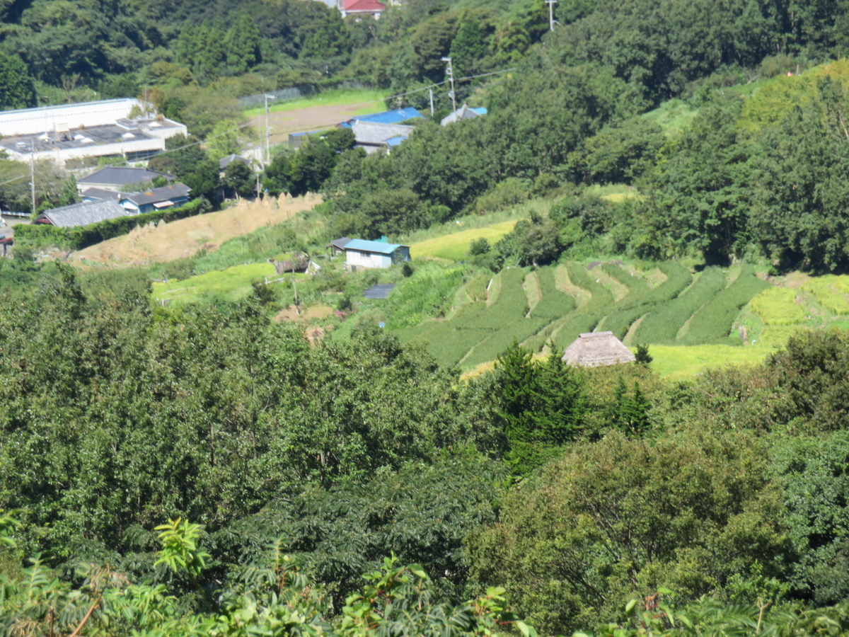 f:id:eiji-chan:20190916085027j:plain f:id:eiji-chan:20190916085027j:plain