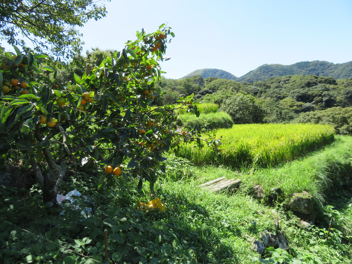 f:id:eiji-chan:20190916085117j:plain f:id:eiji-chan:20190916085117j:plain