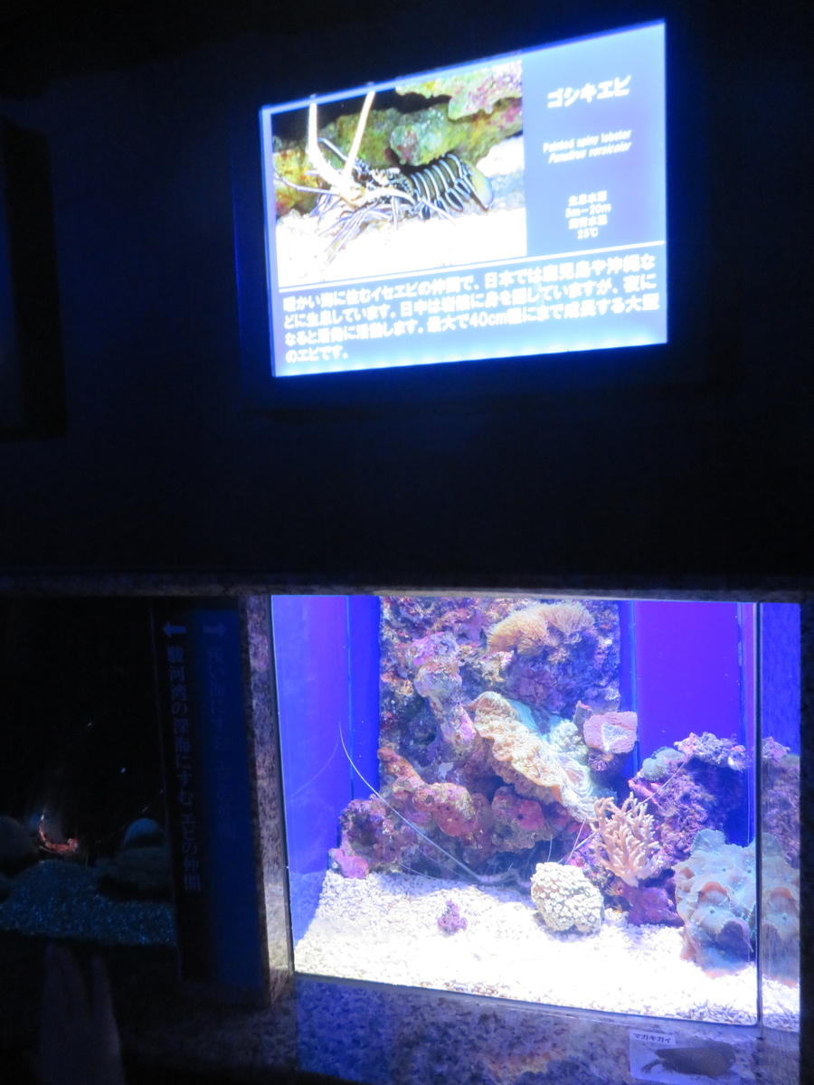 f:id:eiji-chan:20190917203854j:plain