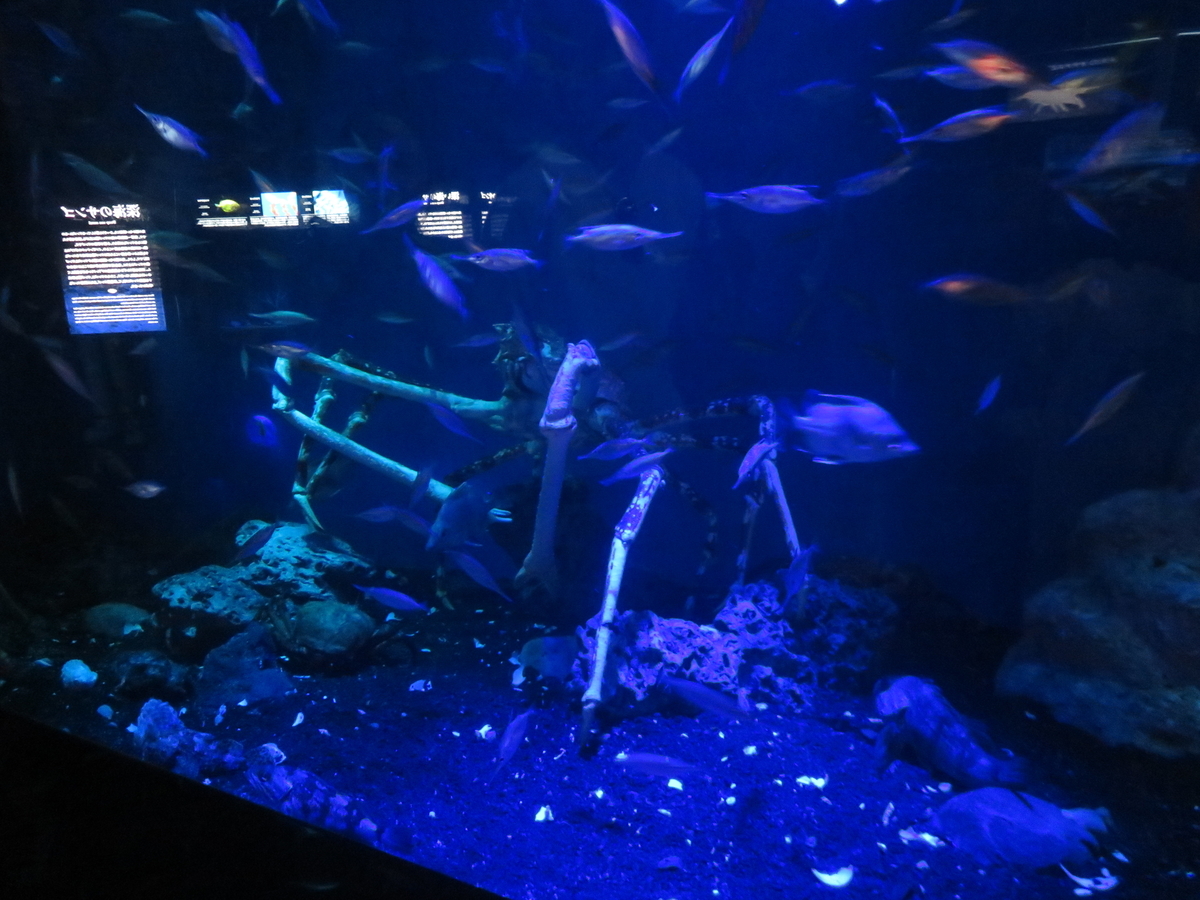 f:id:eiji-chan:20190917204731j:plain