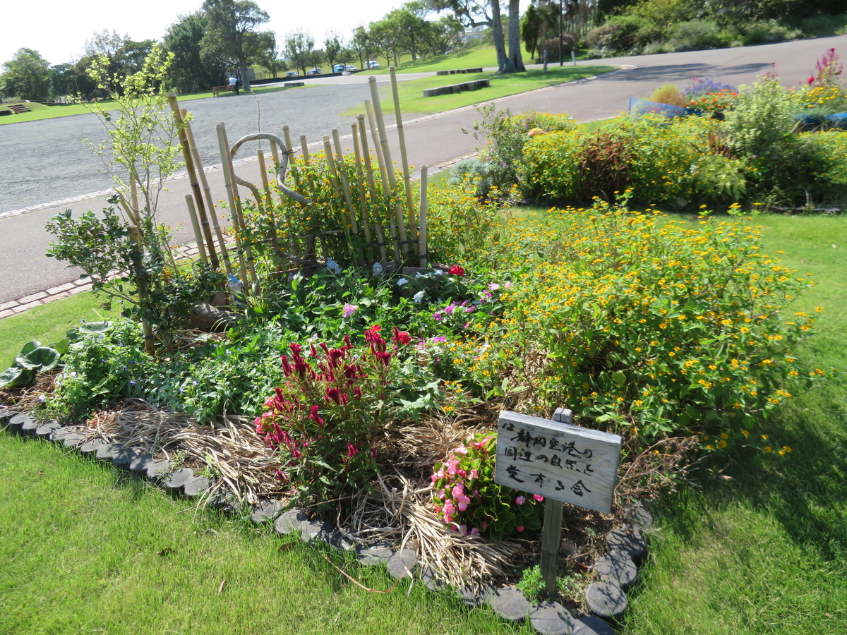 f:id:eiji-chan:20190918210048j:plain